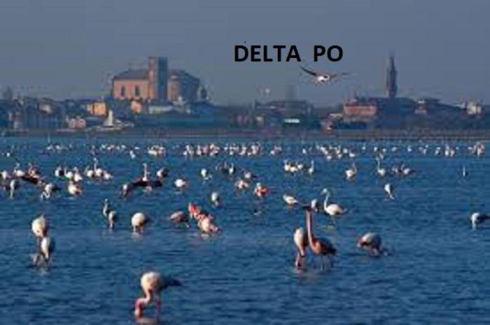 Mipro Mobilhome Lido di Spina Buitenkant foto